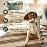 PetJoy Cat Training Collar and Small Dog Training Collar, Cat Meow Collar and Bark Collar no Shock, 900 ft Remote Range, Effective, Intelligent, Waterproof, and Rechargeable