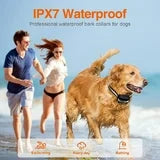 Petjoy 2-IN-1 Remote Dog Training Collar,Electronic Dog Collar,Shock Collar for Large Medium Small Dog，3 Safe Modes with Beep,Vibration&Shock,IPX7,3300FT.