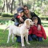 PetJoy Automatic Bark Collar for 3 Dogs,Dog Shock Collar,Anti Barking Collar with Beep&Shock,Bark Collar Adjustable Sensitivity for All Breeds of Dogs
