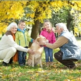 PetJoy Dog Bark Collar,Shock Anti Bark Collar with Beep & Shock,5 Levels,for Dogs 5-120lbs,Waterproof,Brown