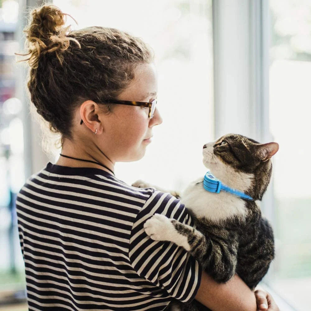 Petjoy Cat Shock Collar, Beep, Vibration and Shock 3 Modes to Auto Stop Meowing, Lightest Safe Shock Collar for Small Cats 5-15lbs & Medium Large Cats, Waterproof & Rechargeable
