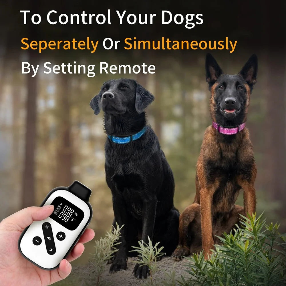 Petjoy Dog Training Collars for 2 Dogs,Shock Collar with Remote for Medium Large Dogs, Rechargeable Auto Bark Collar, 3 Training Mode, Remote Range 2800 Ft,IPX7 Waterproof