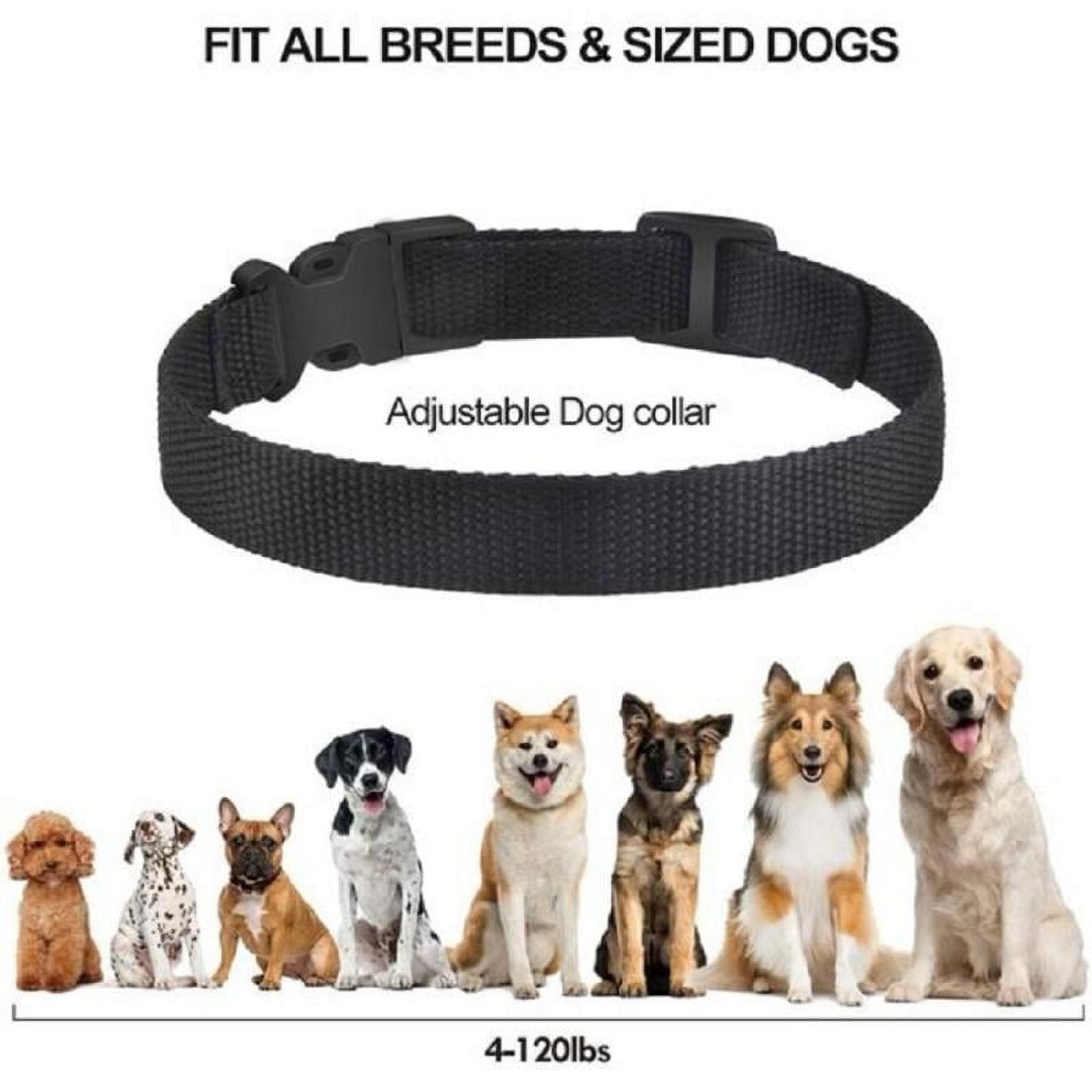 PetJoy Dog Bark Collar,Shock Anti Bark Collar with Beep & Shock,5 Levels,for Dogs 5-120lbs,Waterproof,Siver