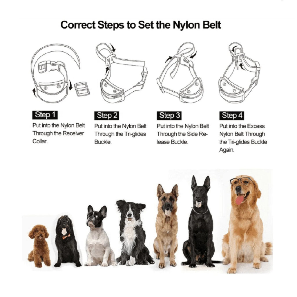 Petjoy Dog Bark Collar,Shock Anti Bark Collar with Beep & Shock,5 Levels,for Dogs 5-120lbs,Waterproof,Gold