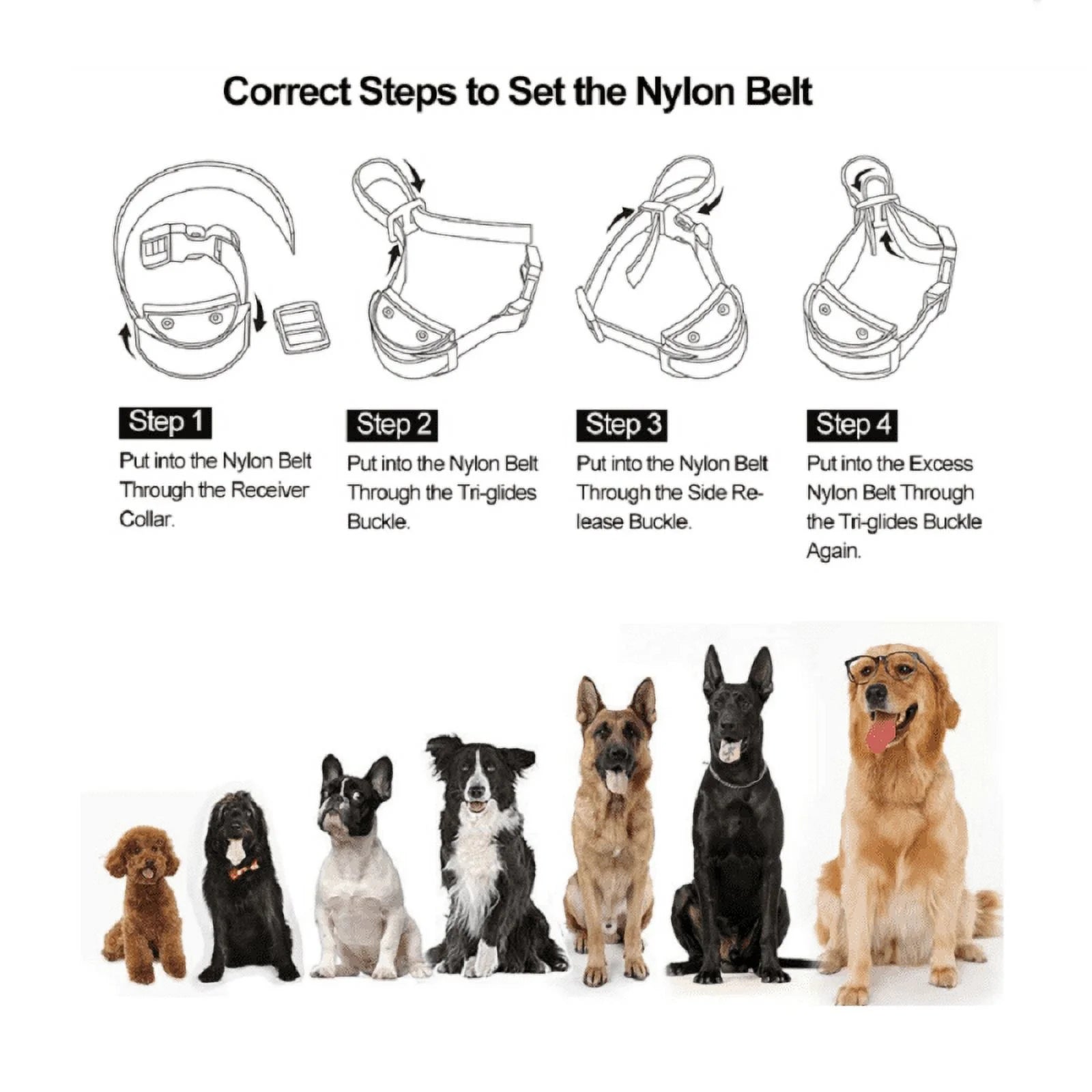 Petjoy Dog Bark Collar,Shock Anti Bark Collar with Beep & Shock,5 Levels,for Dogs 5-120lbs,Waterproof,Gold