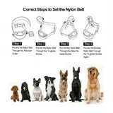 PetJoy Dog Bark Collar,Shock Anti Bark Collar with Beep & Shock,5 Levels,for Dogs 5-120lbs,Waterproof,Siver